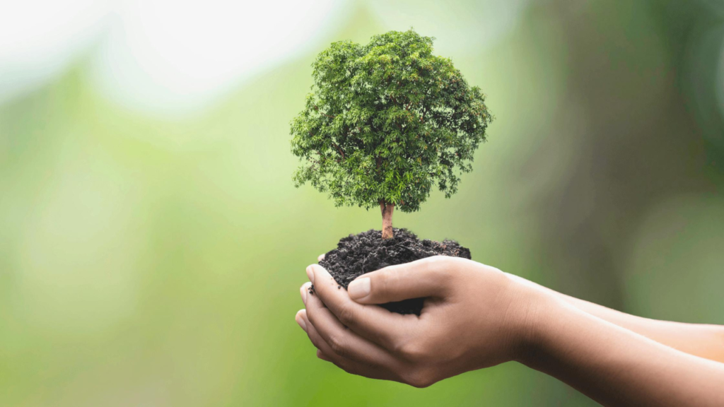 A Contribuição da Ciência na Preservação da Biodiversidade