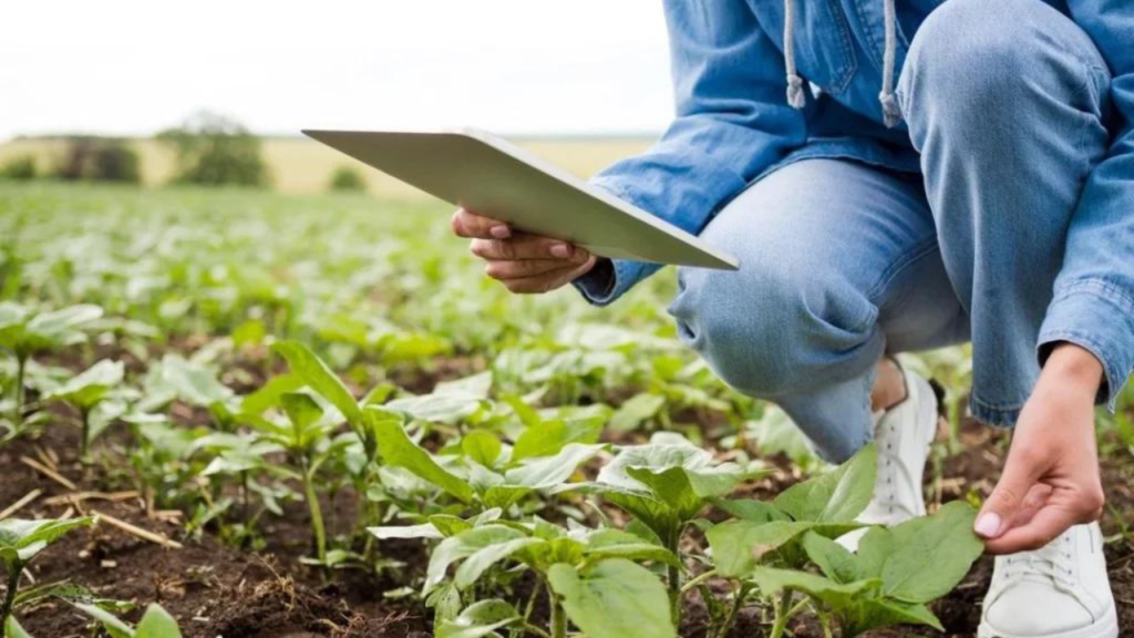 5 Melhores Práticas para Aumentar a Produtividade Agrícola